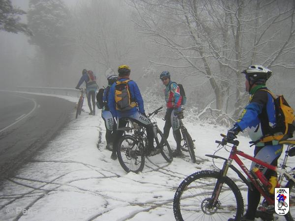 20060128123821-DSCN4625.JPG