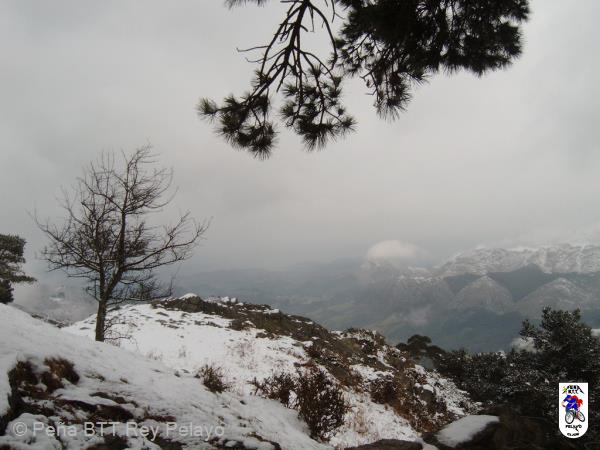 20060128131000-IMAG0028.JPG