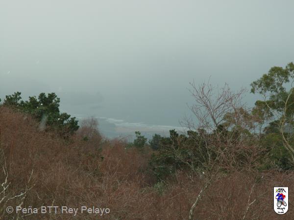 20060128131349-DSC03728.JPG