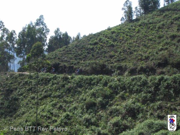 20060610111544-by_pablo 016.jpg