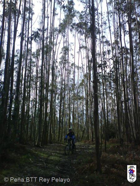 20070224130219-070224-145236.jpg