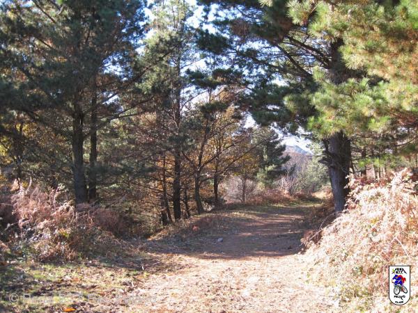 20131214130743.JPG