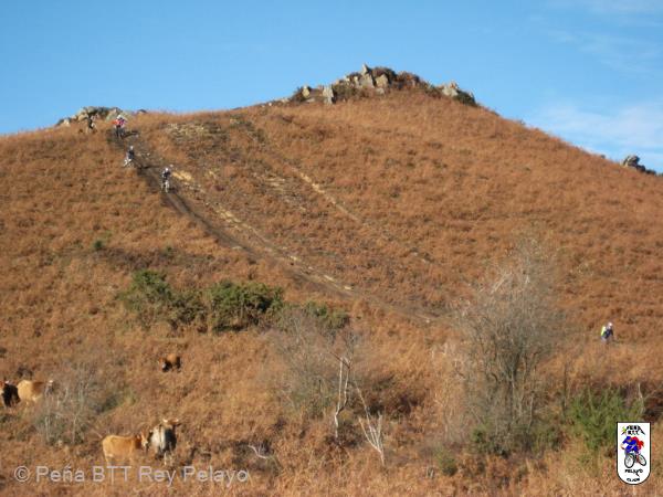 20131214141859.JPG