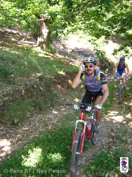 20040613104502-fot16.jpg