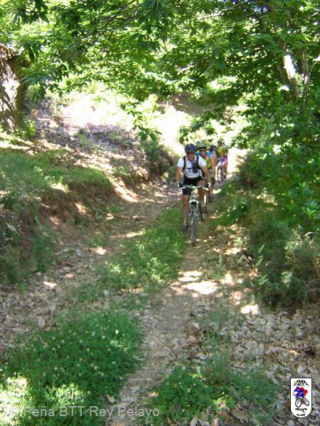 20040613104528-fot17.jpg