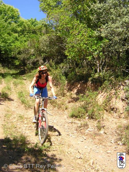 20040613113522-fot27.jpg
