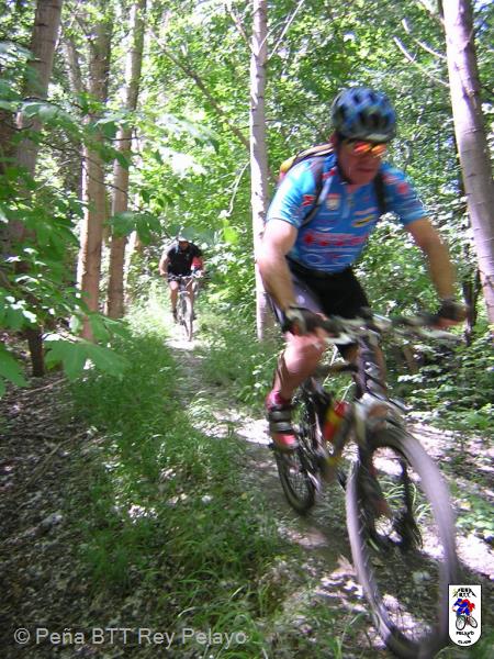 20040613142756-fot59.jpg