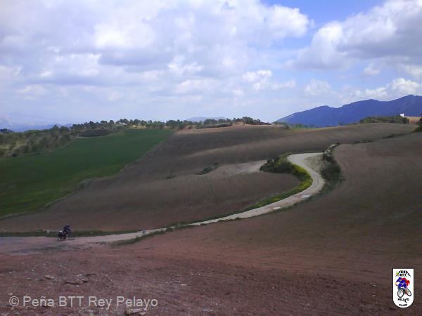 20070404161630-DSC00213.jpg