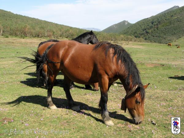 20090905170430juanjo.JPG