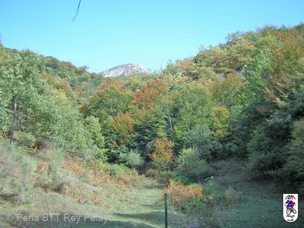 20051016125844-DSCN4119.JPG