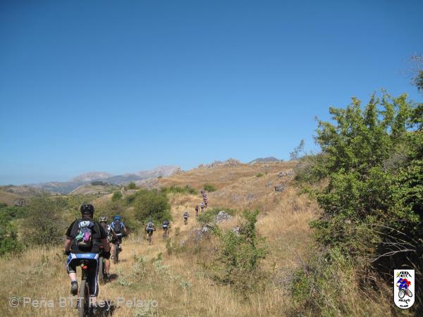 20160813120105_Saul.jpg