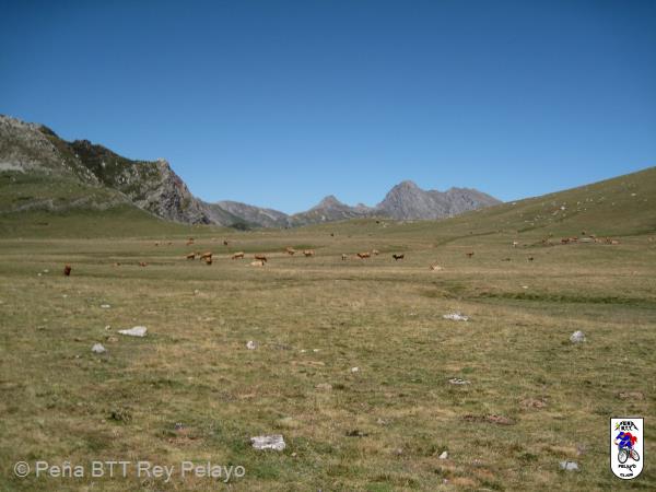 20160813144138_Saul.jpg
