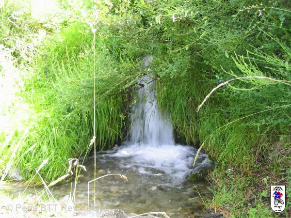 20040626132706-fot29.jpg