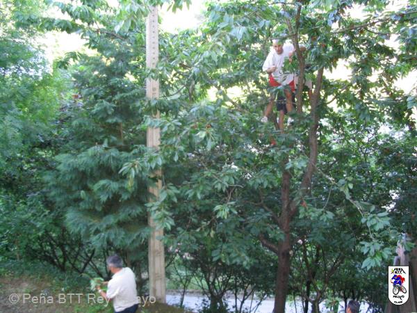 20040626202944-fot56.jpg
