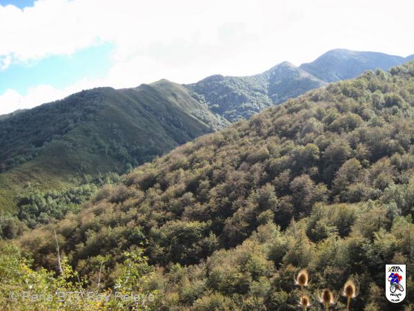 20131005131043.JPG