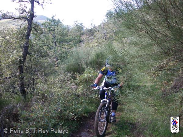 20061012140029-fot46.jpg