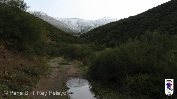 20081004110104_byPablo.JPG