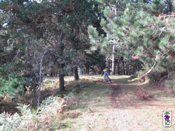 20131005111035.JPG