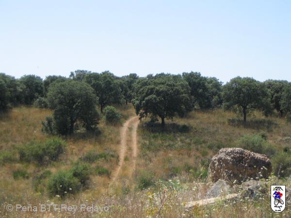 20070729132634-byPablo.jpg