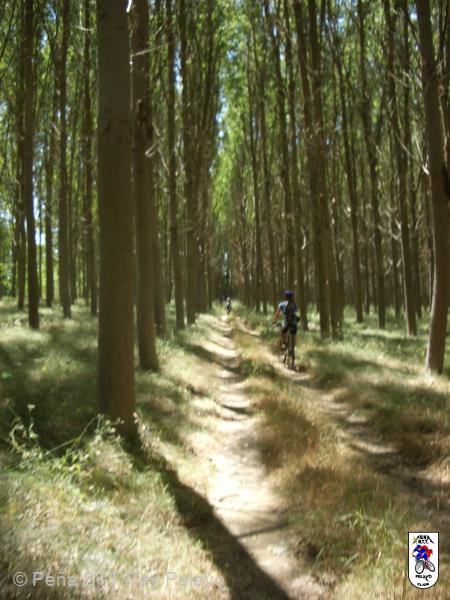 20070729135801-byRuben.jpg