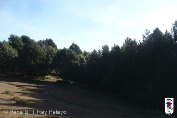 20110123164134.jpg