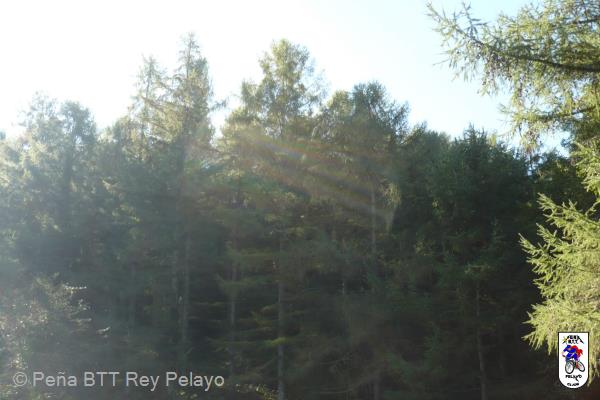 20110123173412.jpg