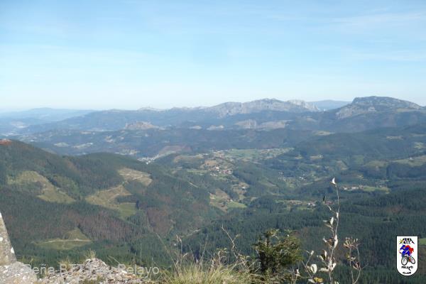 20110123182448.jpg