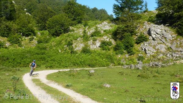 20110716091943_av.jpg