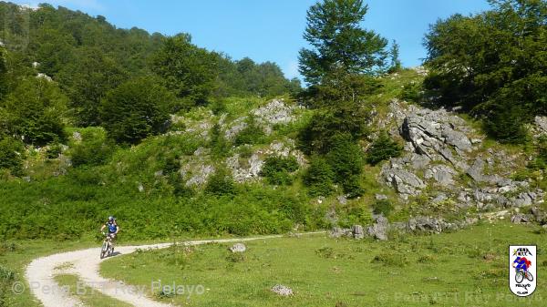 20110716092009_av.jpg