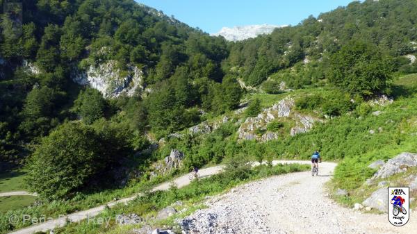 20110716092220_im.jpg