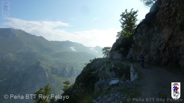 20110716092508_av.jpg