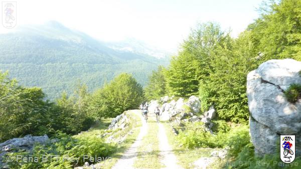20110716093059_av.jpg
