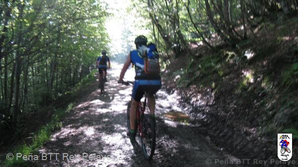 20110716094050_pm.jpg