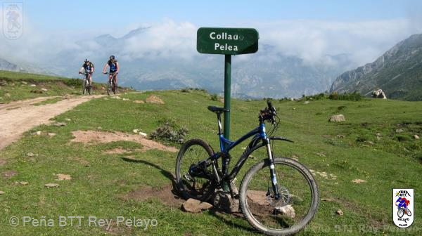 20110716105738_pm.jpg