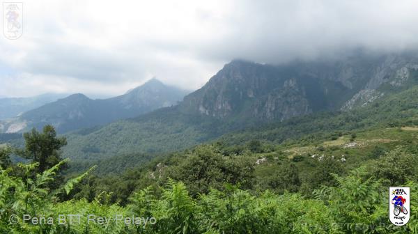 20110716130505_pm.jpg