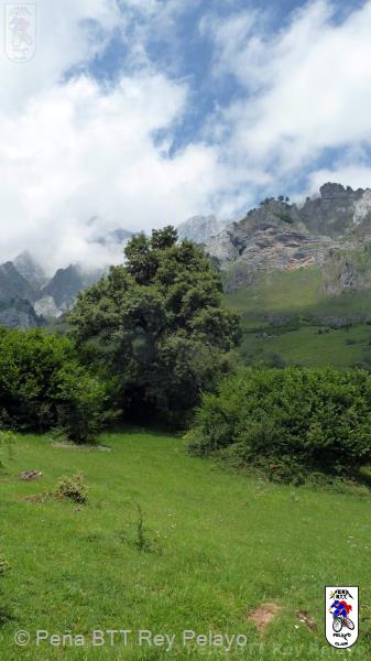 20110716141754_im.jpg