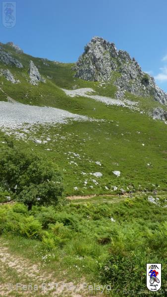 20110716151024_av.jpg