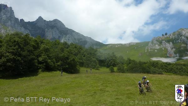 20110716152039_av.jpg