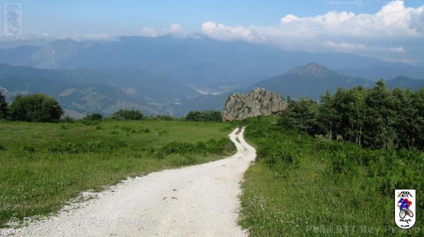 20110716185356_pm.jpg
