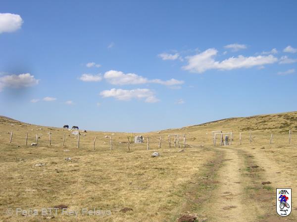 20050903150940-DSCN3701.JPG