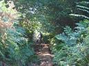 20050618105644-IMG_1138_r.JPG