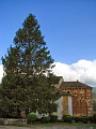20140412083617.jpg