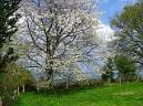 20140412125710.jpg