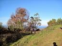 20131207104150.JPG
