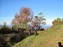 20131207104154.JPG