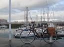 20121201105457.jpg