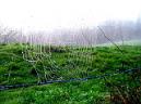 20130216102303.jpg
