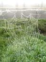 20130216102334.JPG