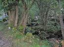 20131019094641.JPG