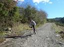 20100220132831juanjo.JPG
